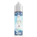 The Zoo - The Polar Bear