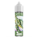 The Zoo - The Turtle